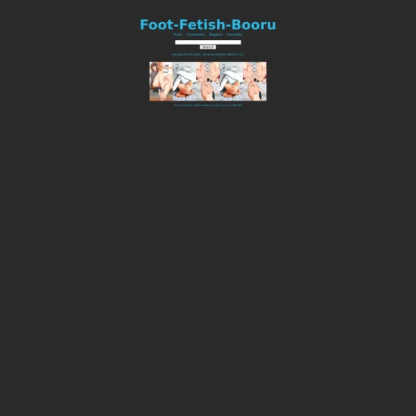 FootFetishBooru on porndir.org