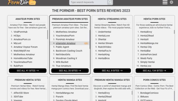PornDir on porndir.org